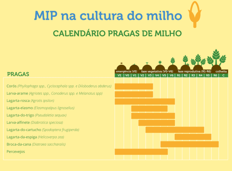 Manejo Integrado De Pragas Na Soja Perguntas E Respostas Frequentes