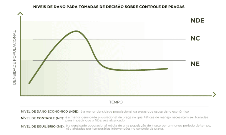 Principais Pragas Do Caf Preven O Identifica O E Controle Blog