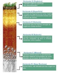 Constru O Do Perfil Do Solo E Como Ela Impacta Sua Produtividade