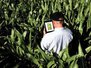 Software para fazenda: O que é e para que serve?