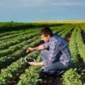 software para fazenda