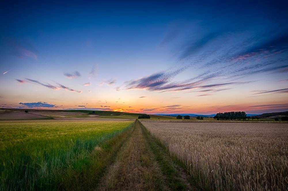 fazenda com planejamento agrícola