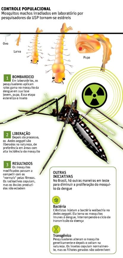 irradiação insetos