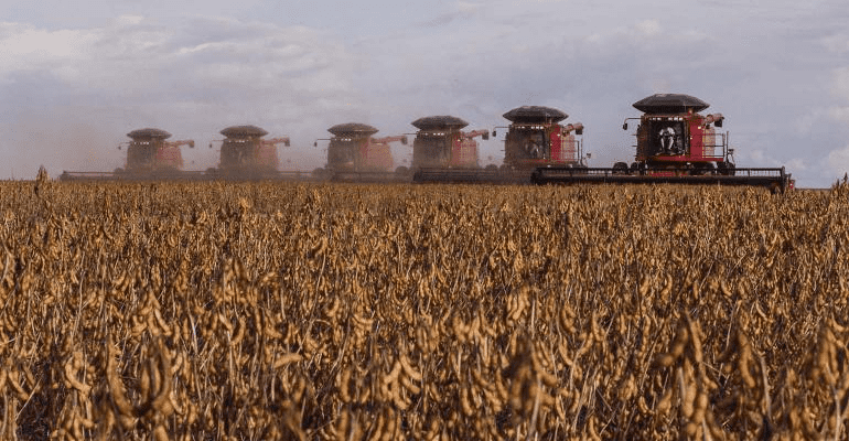 produção agrícola brasileira