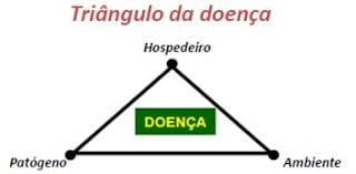 triangulo da doença