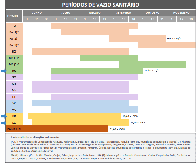 vazio sanitário