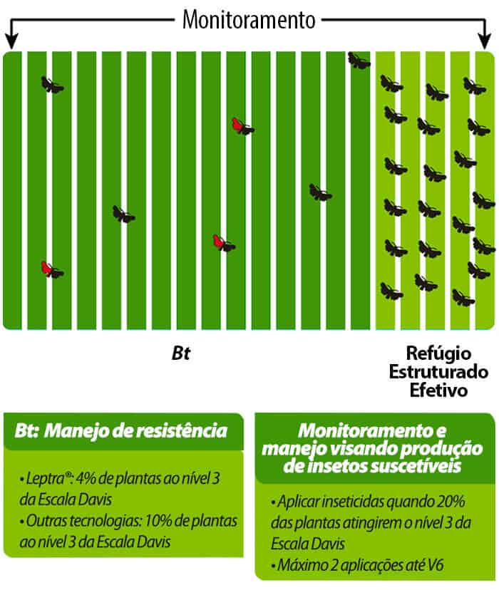 Boas-Praticas-BioGene-Monitoramento