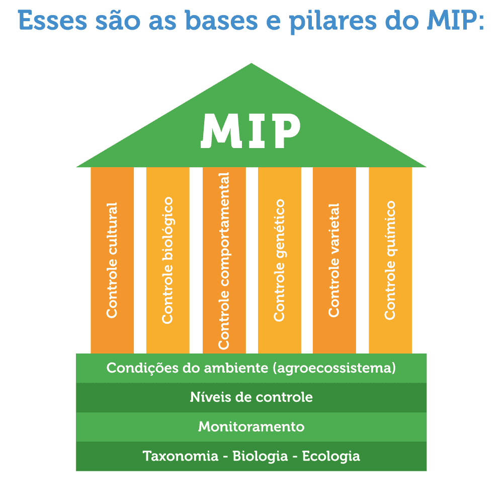 bases-e-pilares-do-MIP