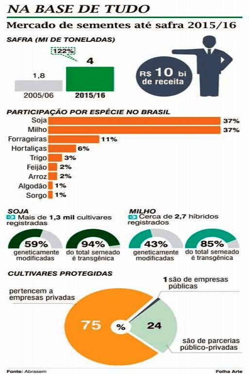 mercado de semente de milho no brasil