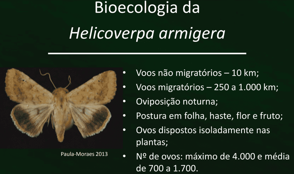 Bioecologia da Lagarta Helicoverpa, demonstrando o seu potencial de disseminação e consequente alcance em outras culturas