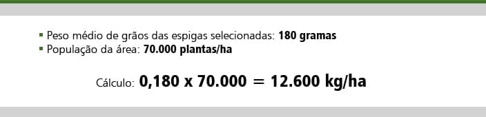 produtividade-milho-hectare-metodo-1