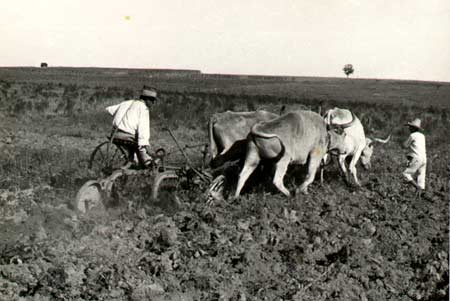 implementos-agrícolas-primordios