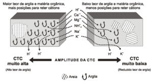 Entenda Porque Você Precisa Saber Sobre A CTC Do Seu Solo - Blog Da Aegro