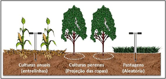 5-análise-quimica-do-solo-locais-de-amostra-culturas