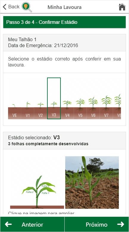 7-tecnologia-na-agricultura-doutor-milho