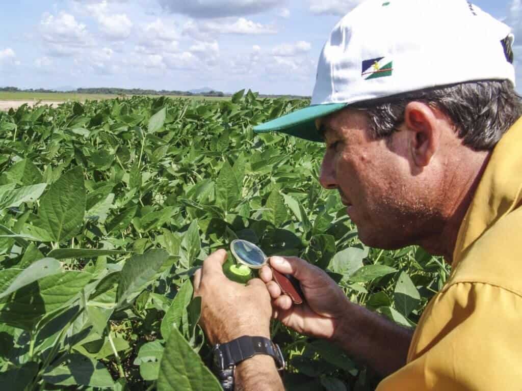 defensivos-agrícolas