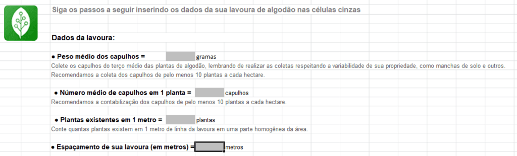 5-cultura-do-algodão