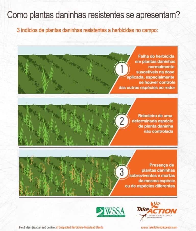 infográfico de três Indícios de plantas resistentes a herbicidas na lavoura