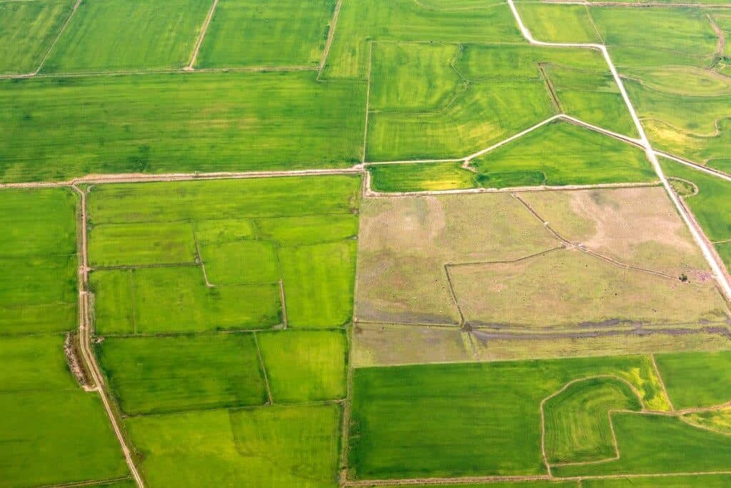 ndvi