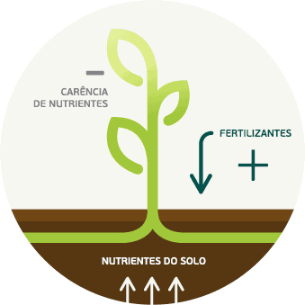 1- fertilidade-do-solo-e-nutrição-de-plantas