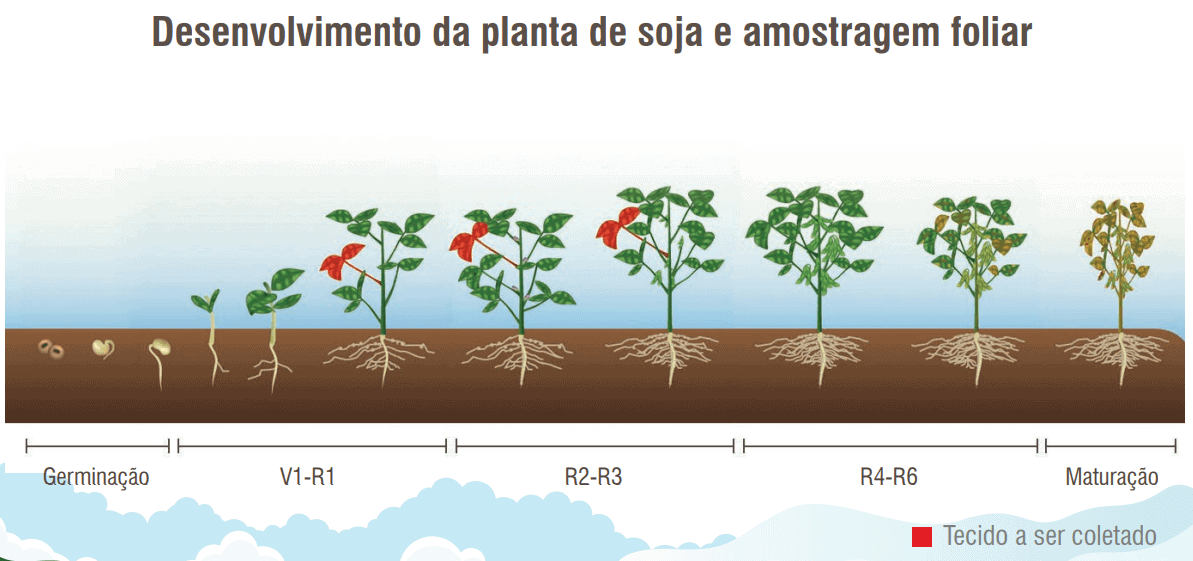 6- fertilidade-do-solo-e-nutrição-de-plantas