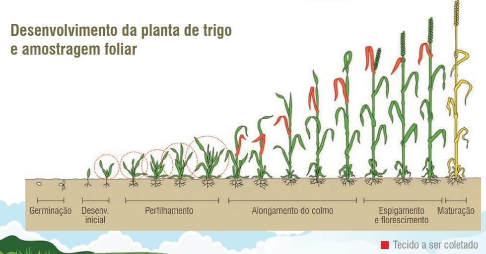 7- fertilidade-do-solo-e-nutrição-de-plantas
