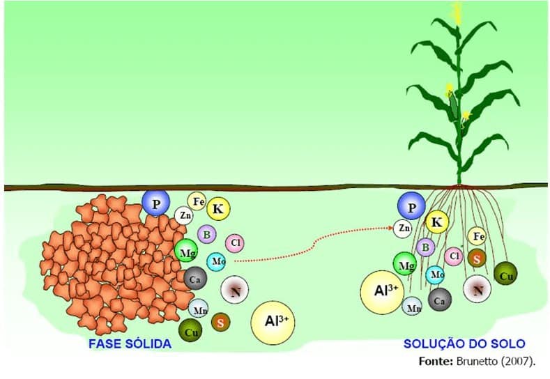 8- fertilidade-do-solo-e-nutrição-de-plantas