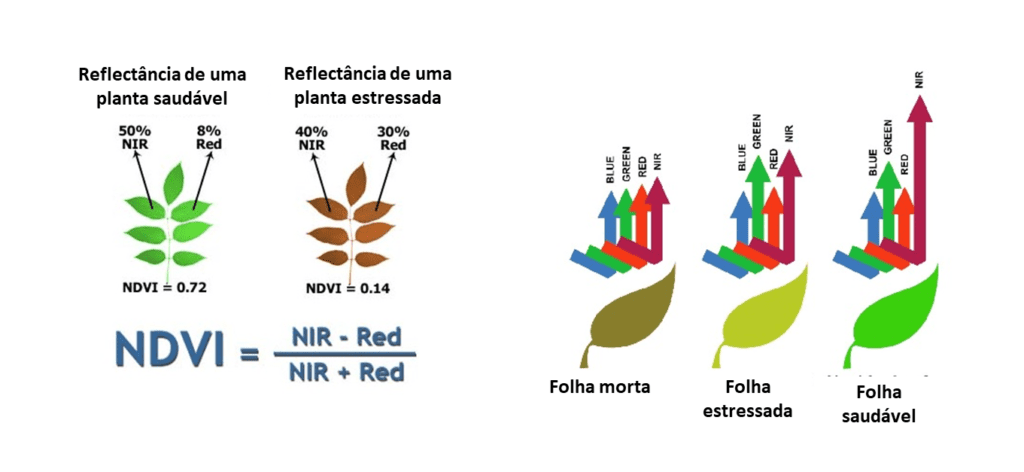 Ndvi