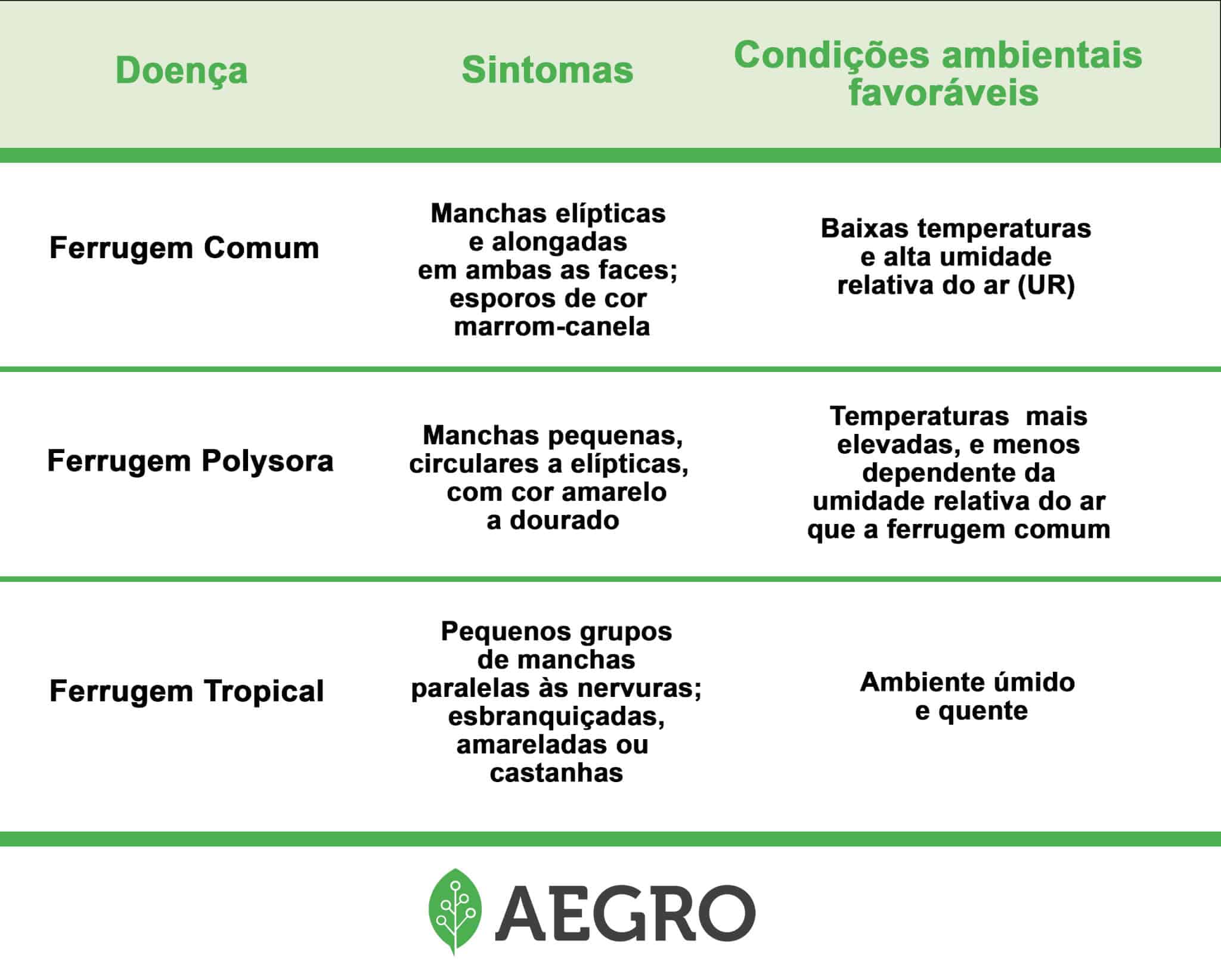 plantação de milho