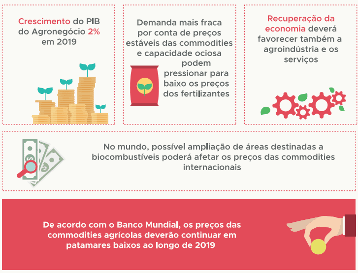 perspectivas do agronegócio brasileiro 2019