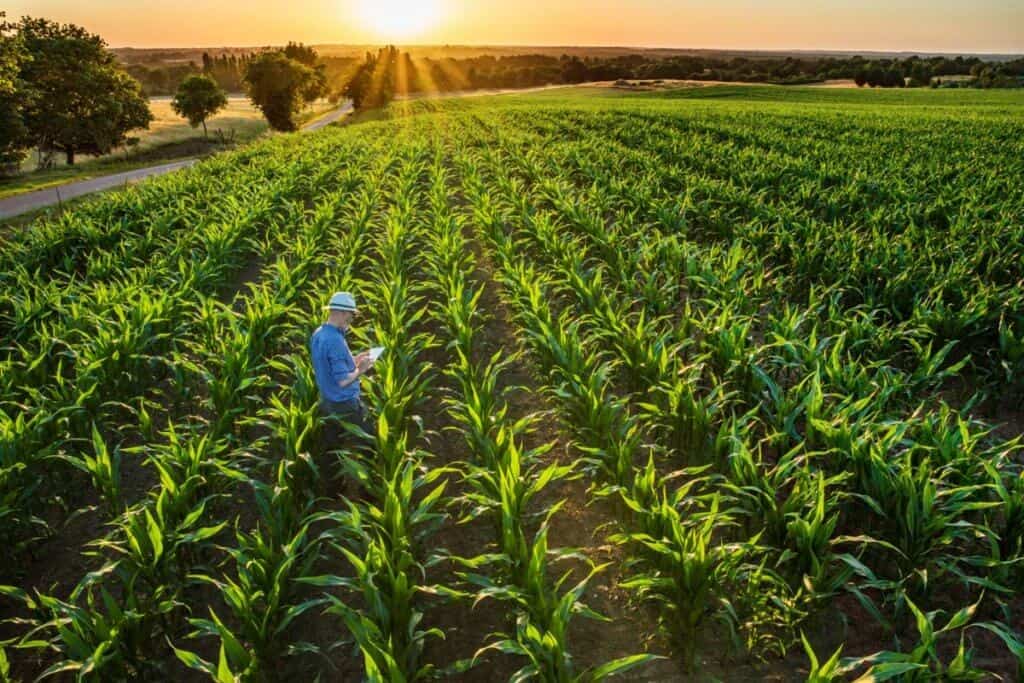 Globo Rural: Os Benefícios Das Novas Tecnologias No Campo