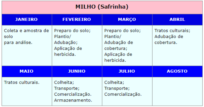 ciclo do milho safrinha