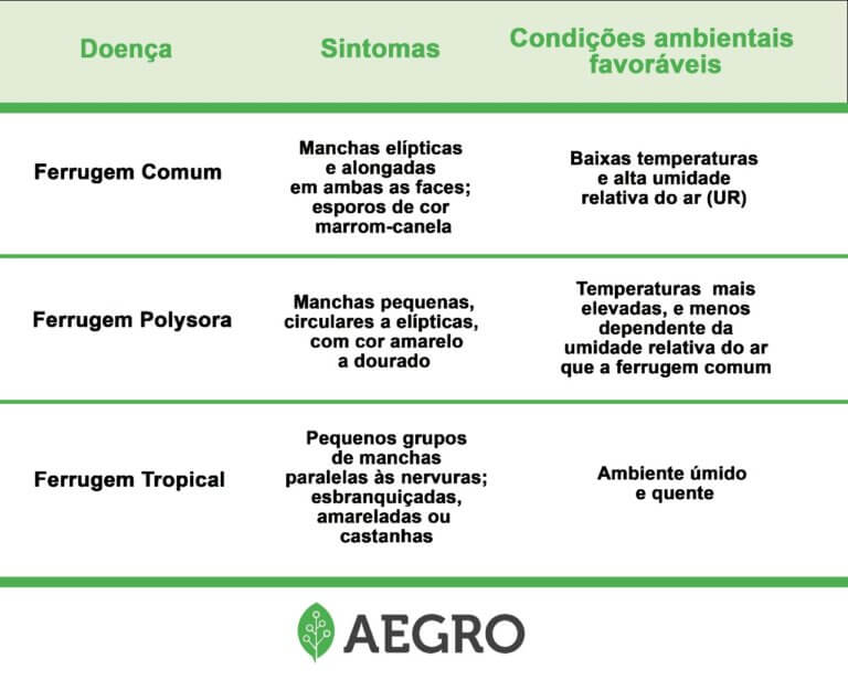 doenças na cultura do milho