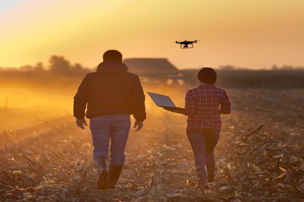 Homem e mulher em fazenda, comandando um drone