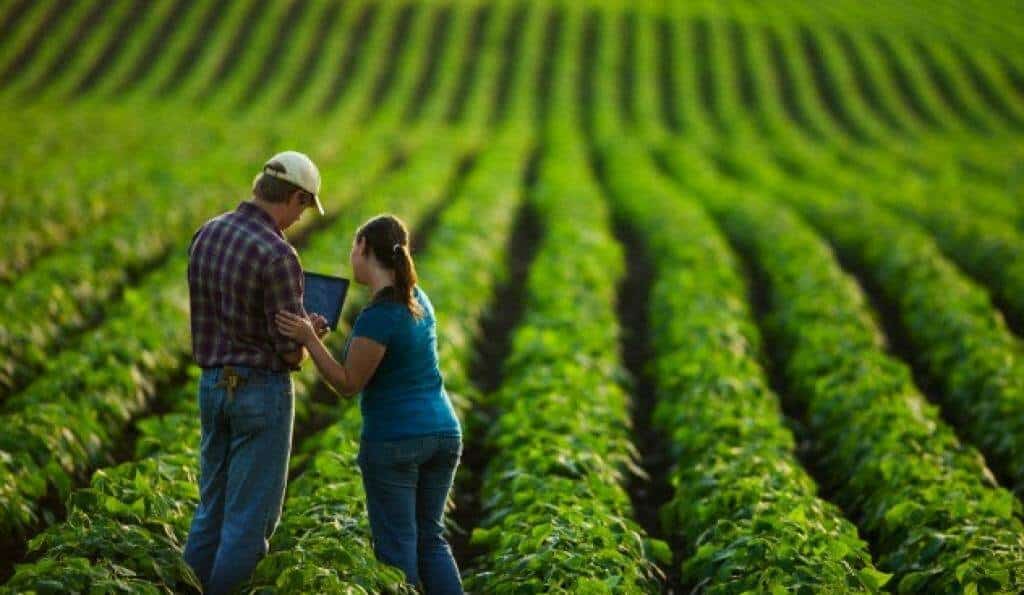 consultoria agrícola