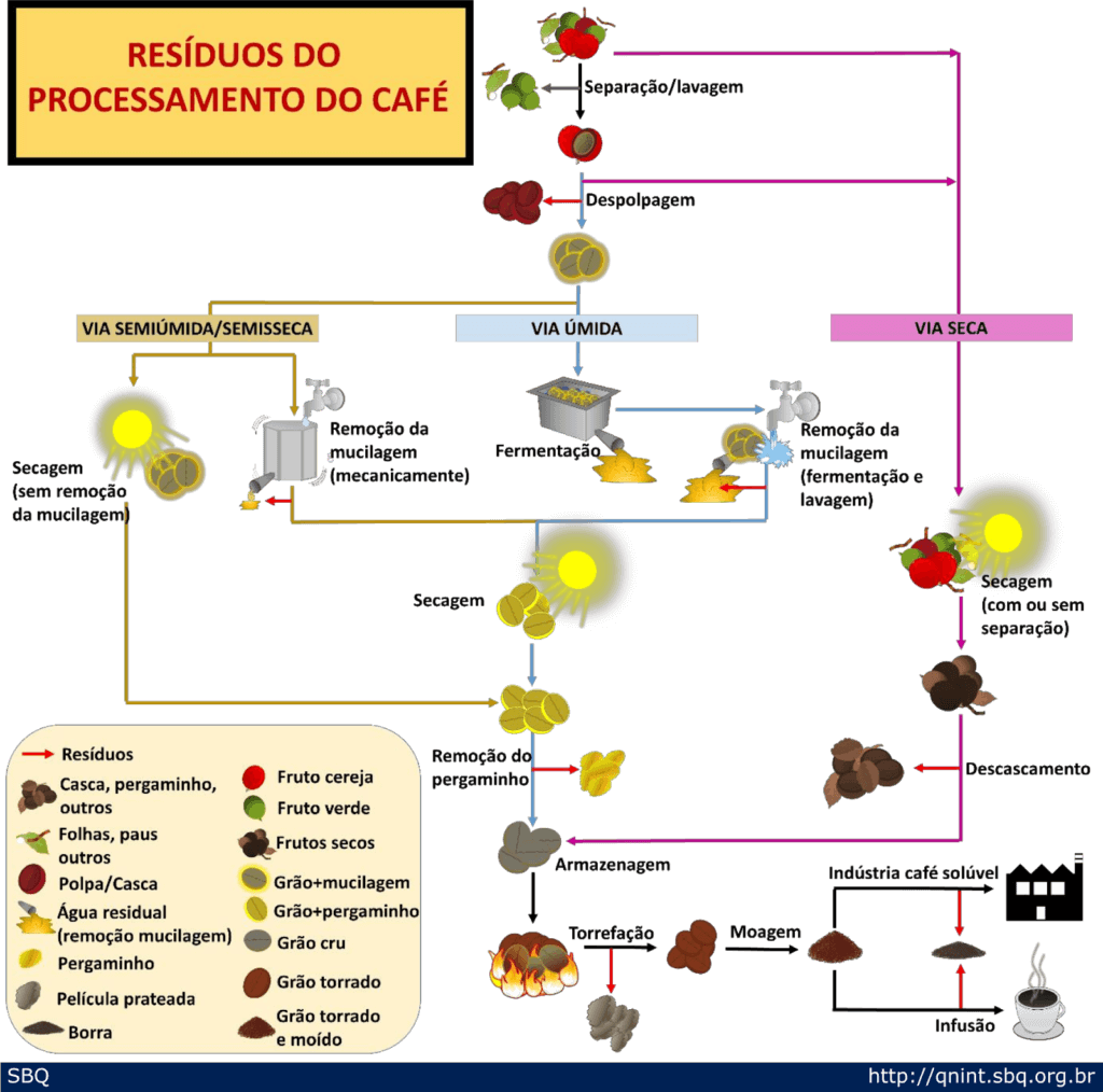 pós colheita do café