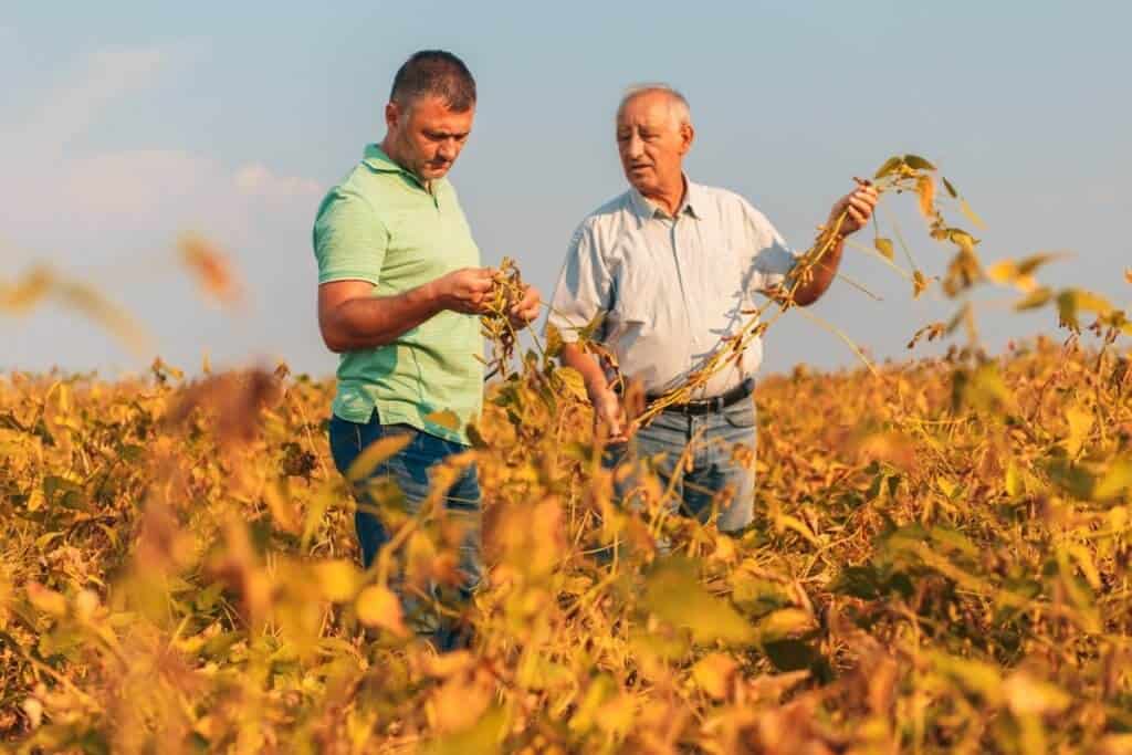 consultoria agrícola
