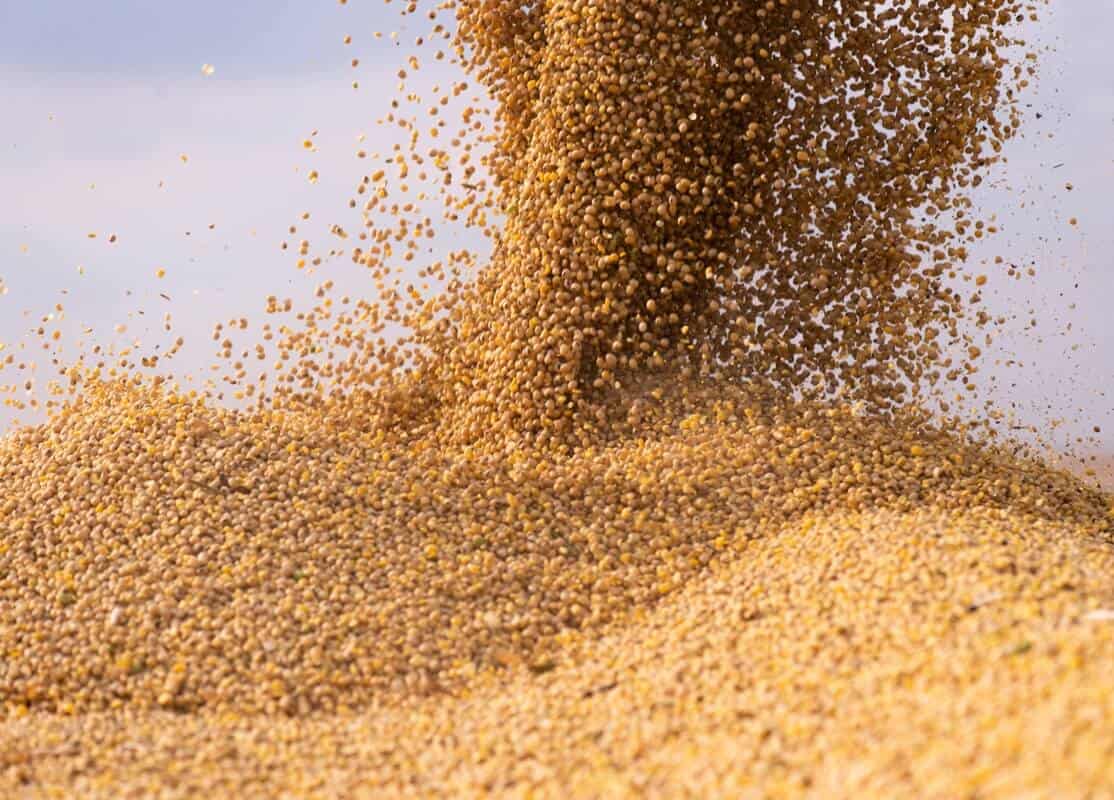 mercado futuro soja 2019