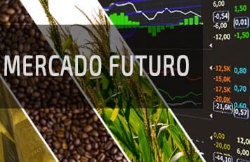 contrato de hedge