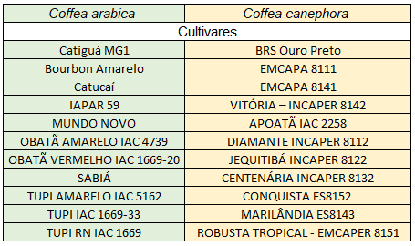 Tabela com exemplos de cultivares de café