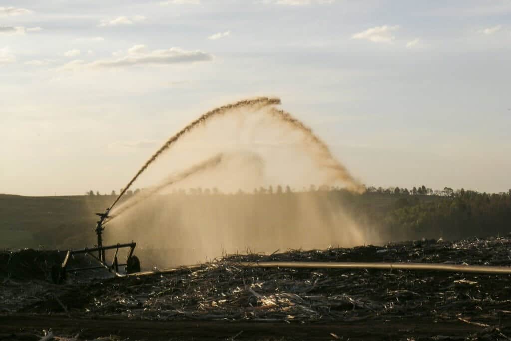 fertilizantes orgânicos