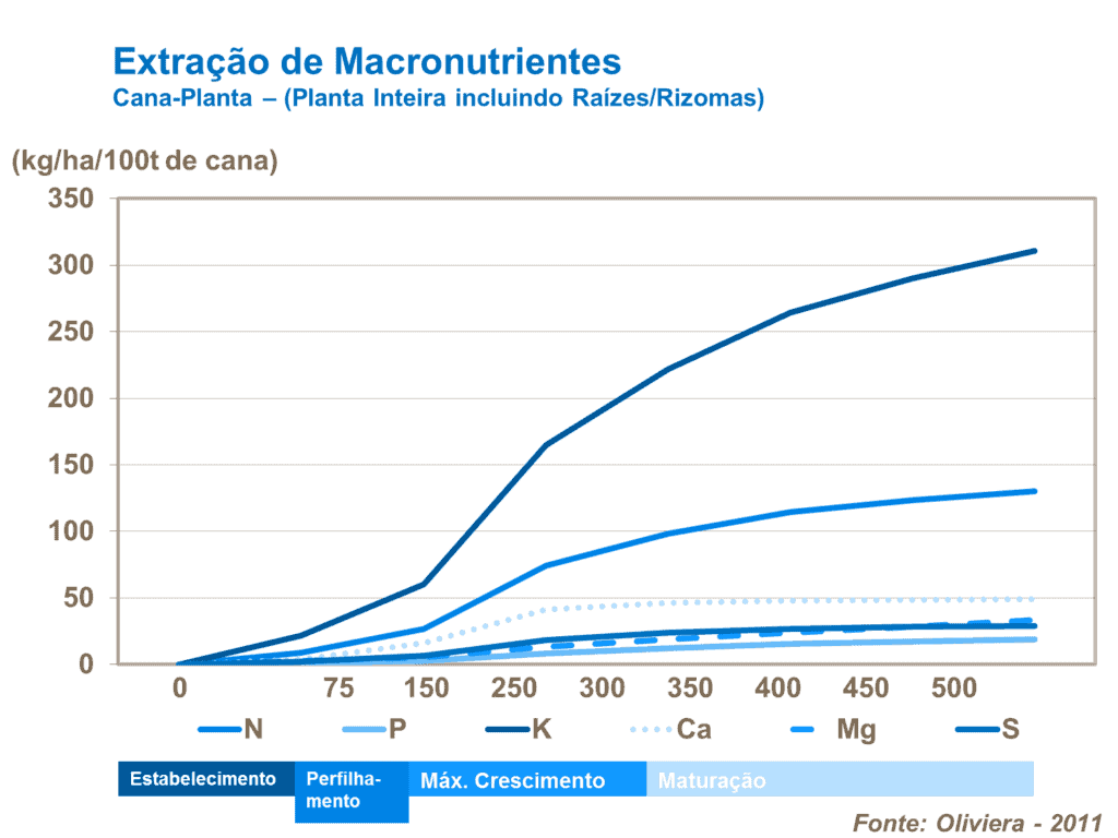 macronutrientes cana