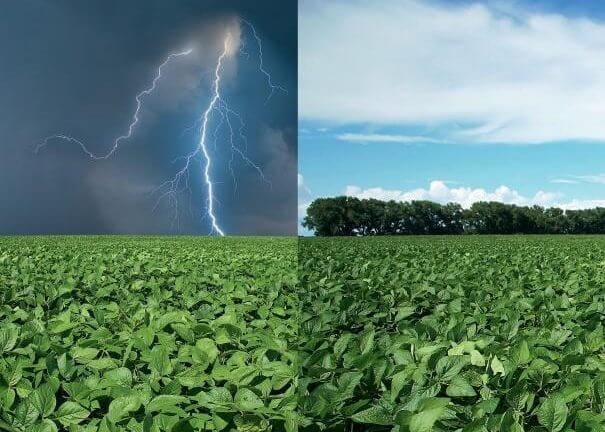 condições climática para safra 2019/20