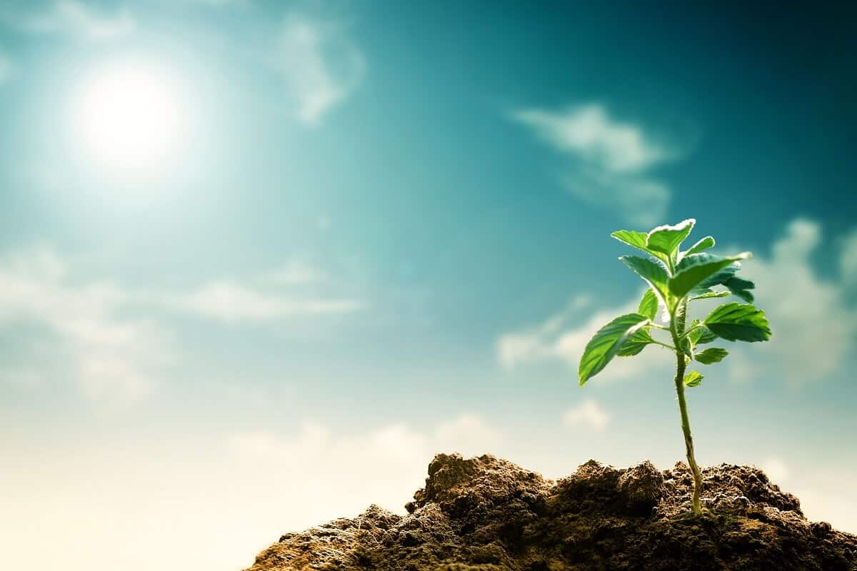 condições climáticas para safra 2019-20