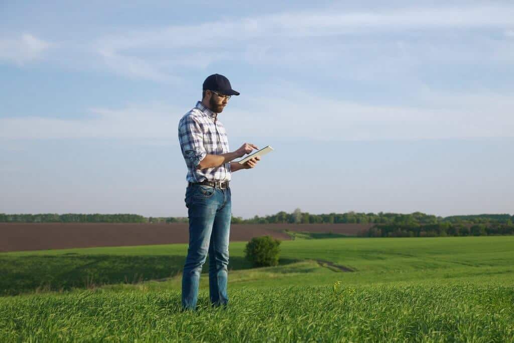custos na gestão agrícola