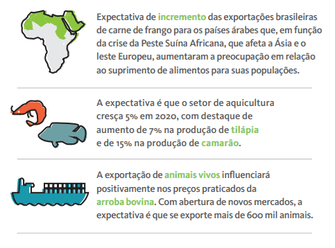 Agronegócio Brasileiro 2020