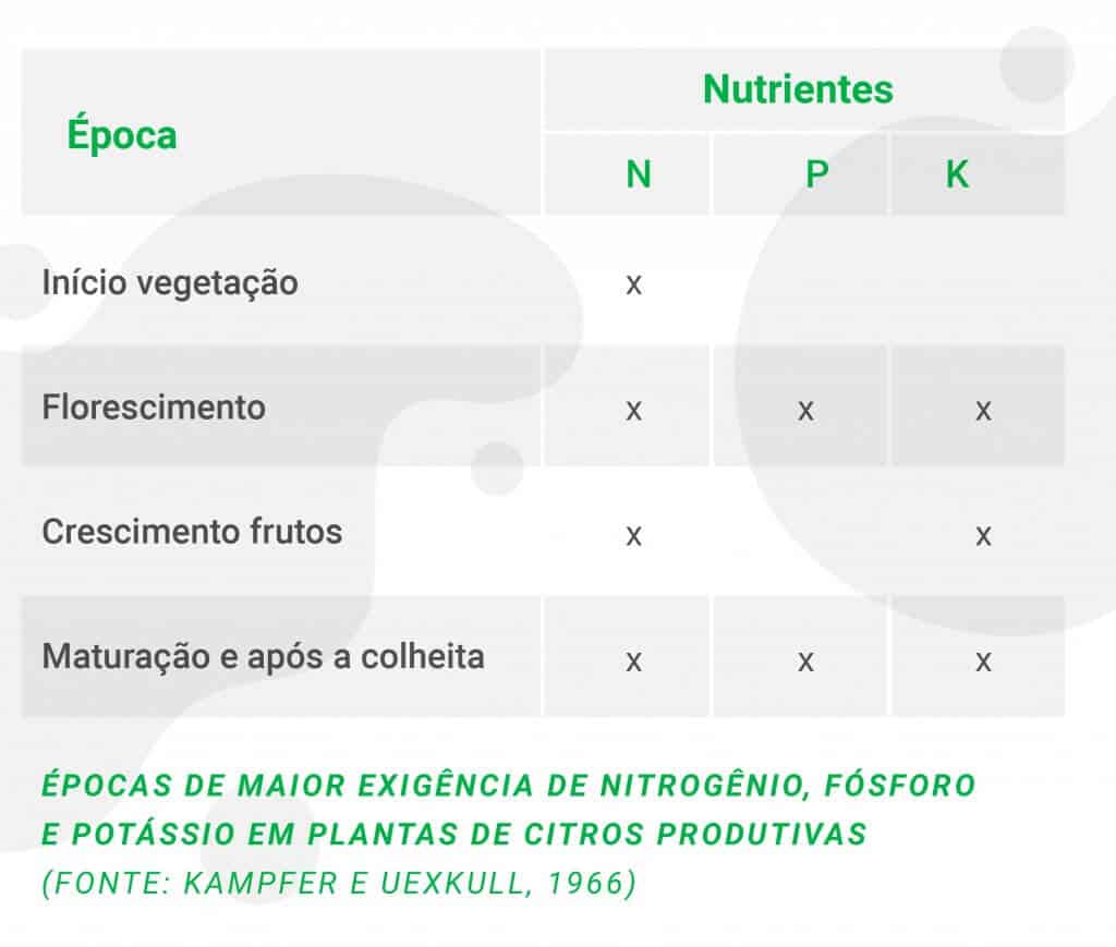 adubação em citros