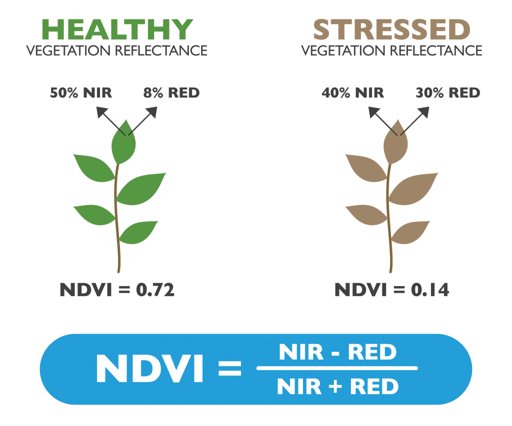 índice de vegetação NDVI