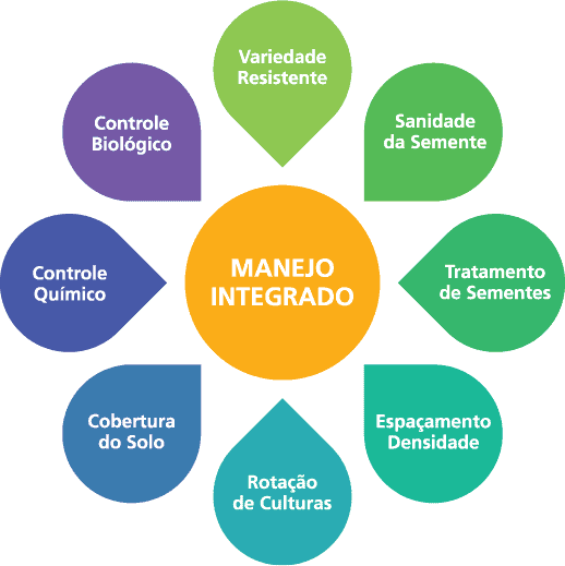 produção agrícola até 2027