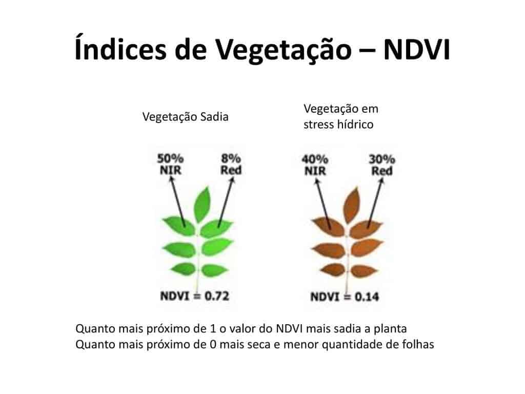 Índice de vegetação e comportamento espectral